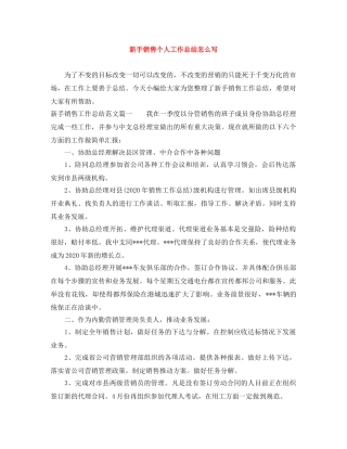新手销售个人工作总结怎么写 