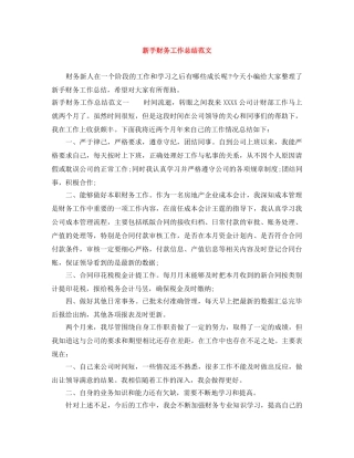 新手财务工作总结范文 