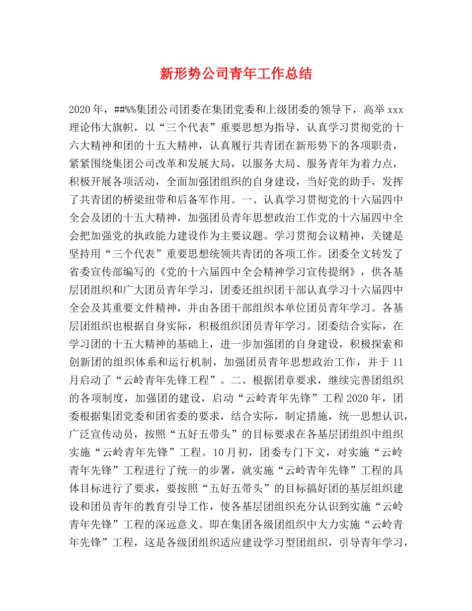 新形势公司青年工作总结 _第1页