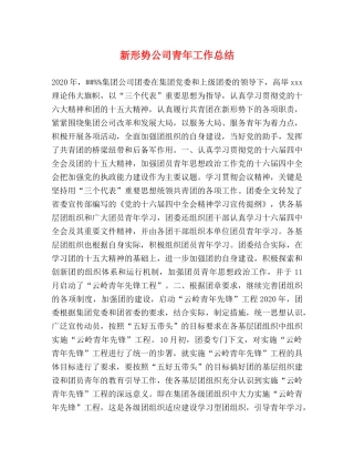 新形势公司青年工作总结 