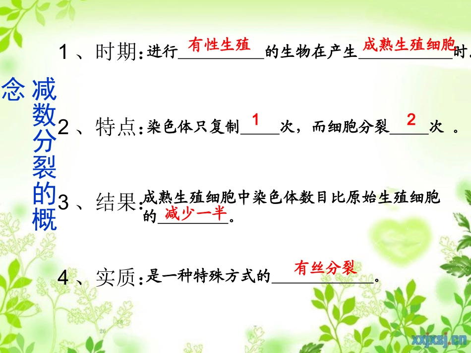微课课件—减数分裂的过程_第2页