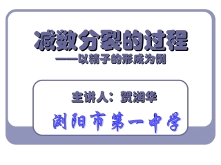 微课课件—减数分裂的过程