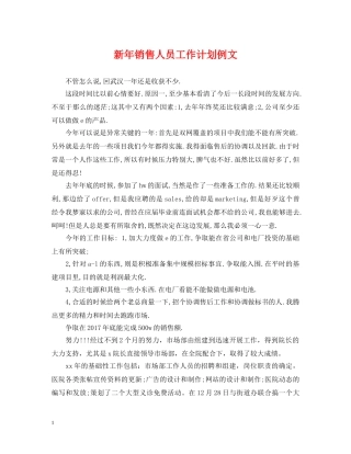 新年销售人员工作计划例文 