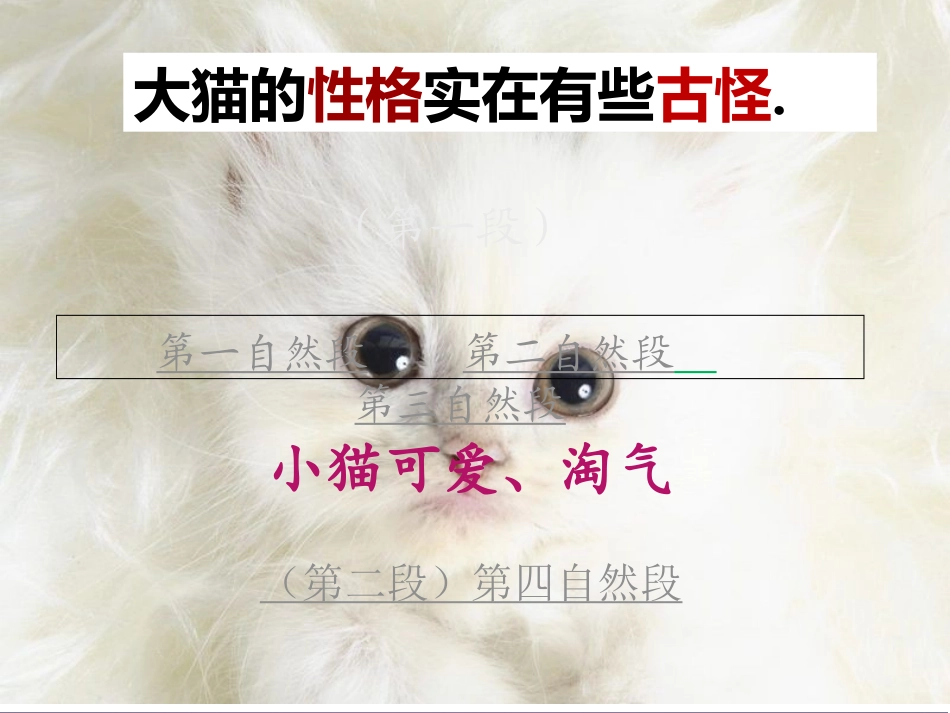 老舍《猫》课件（26页）_第3页