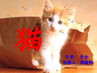 老舍《猫》课件（26页）