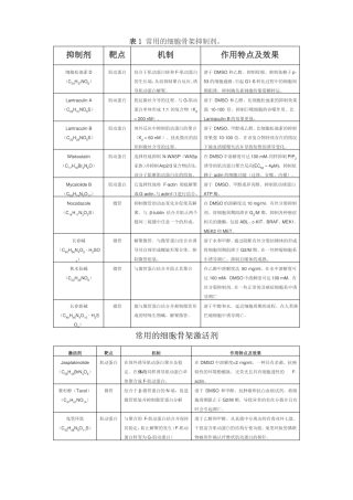 细胞骨架和内吞作用的抑制激活剂