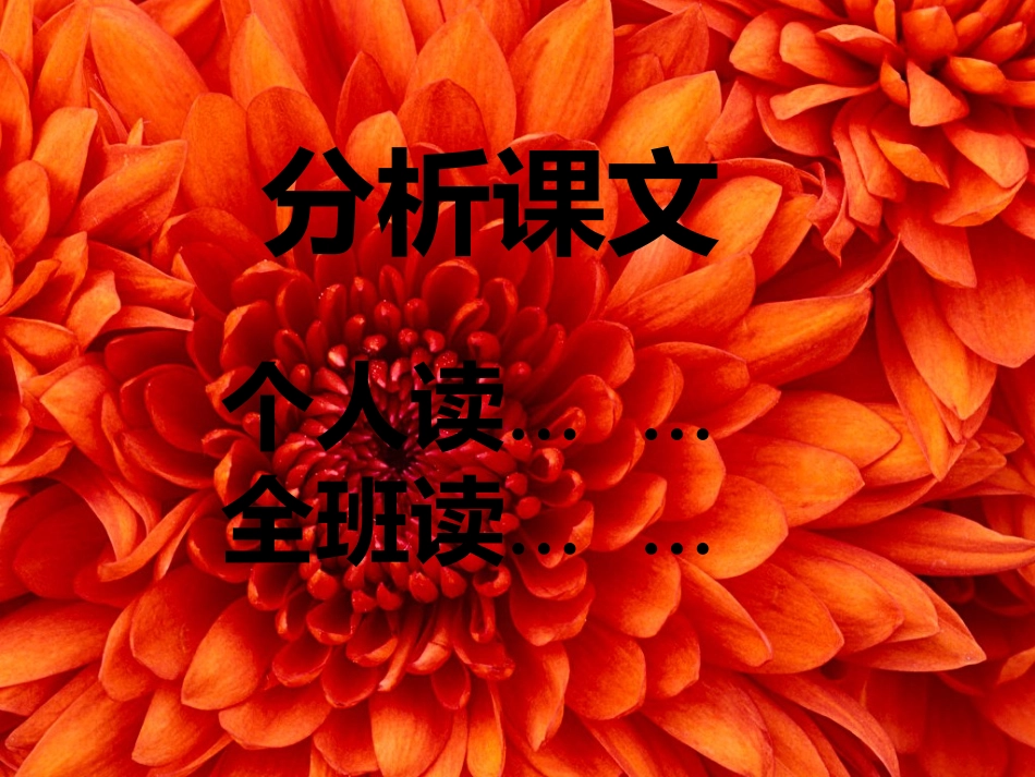 第十四课神奇的光_第3页
