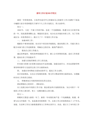 新年工作计划800字范文 
