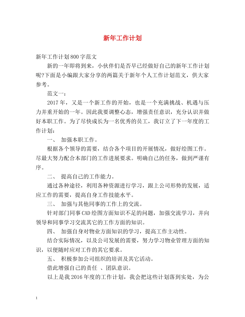 新年工作计划2 _第1页
