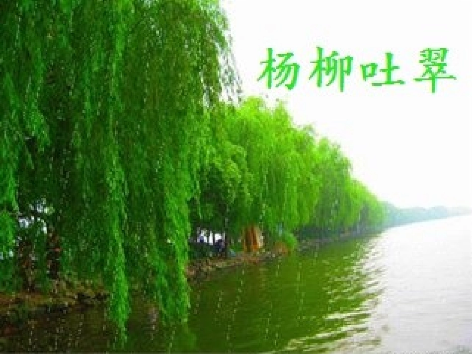 触摸春天课件定版_第2页