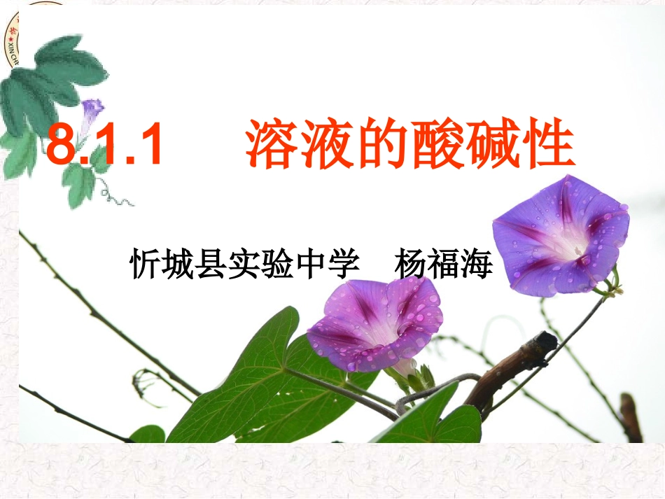 溶液的酸碱性_第1页