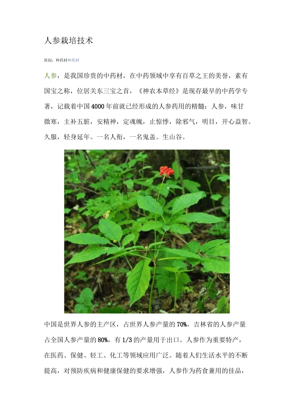 人参栽培技术_第1页