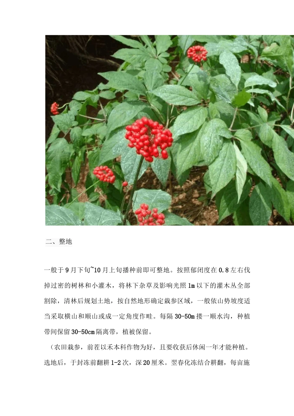 人参栽培技术_第3页
