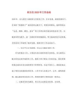 村主任年工作总结