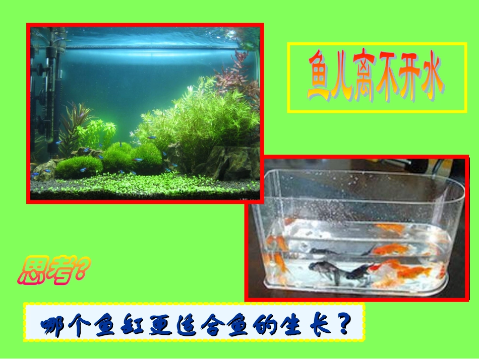 第一节生物与环境的关系（2）_第3页