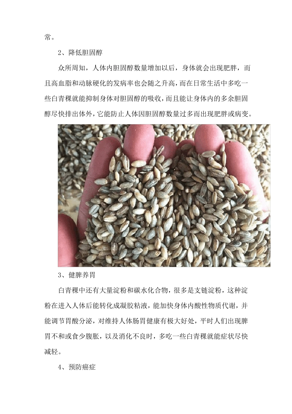 白青稞的功效与作用吃白青稞的好处_第2页