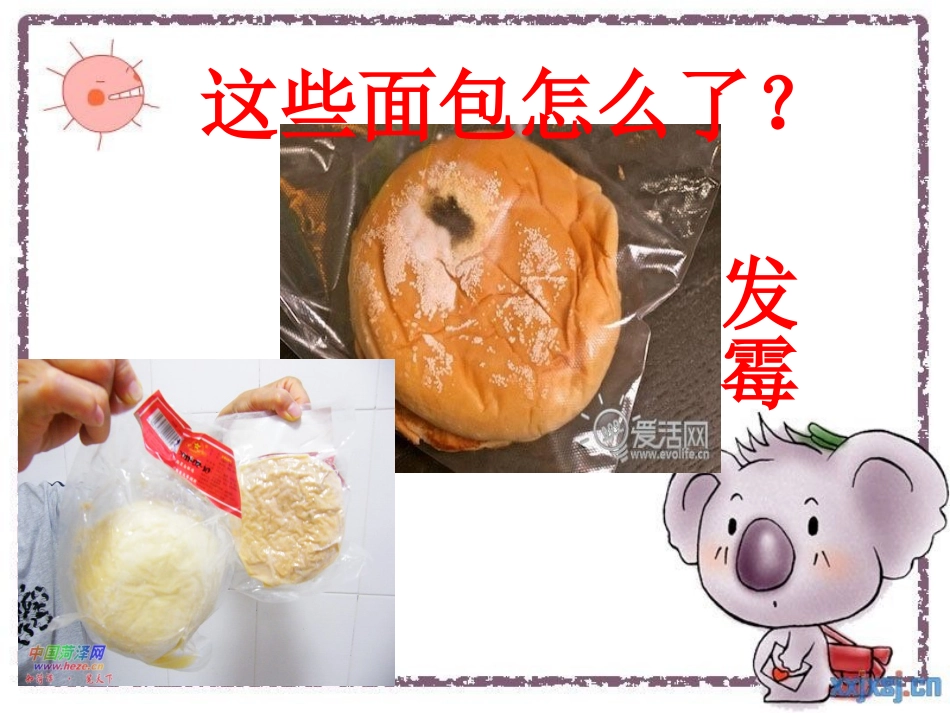 大班食品安全PPT_第2页