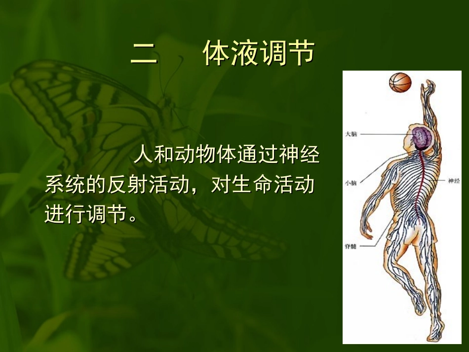 第二节人和高等动物生命活动的调节_第2页