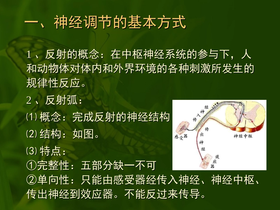 第二节人和高等动物生命活动的调节_第3页