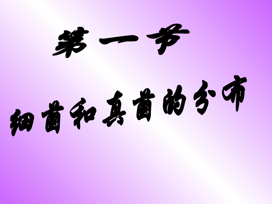 第四章_第一节_细菌和真菌的分布_第2页