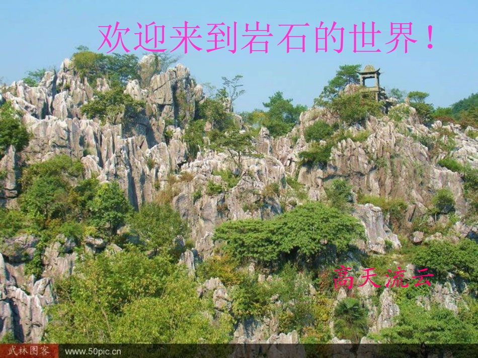 土壤中有什么PPT五上_第1页