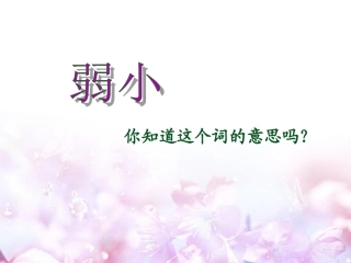 我不是最弱小的PPT课件