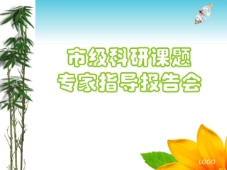 专家报告会课件