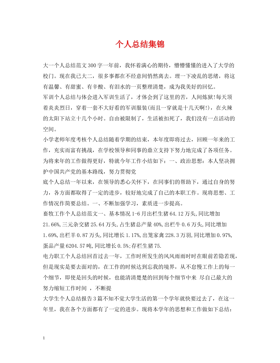 个人总结集锦_第1页