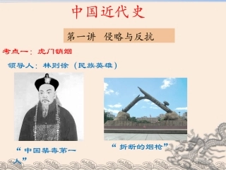 中近史复习侵略与反抗