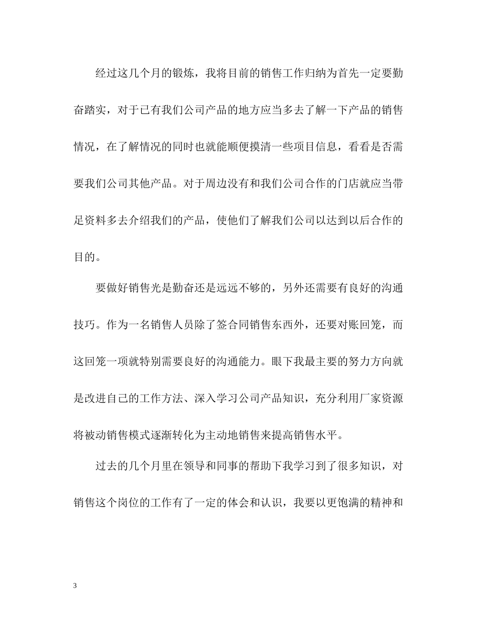 销售员试用期个人工作总结_第3页