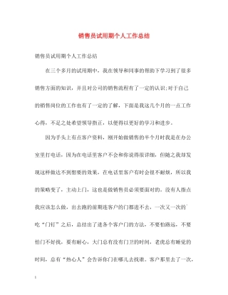 销售员试用期个人工作总结