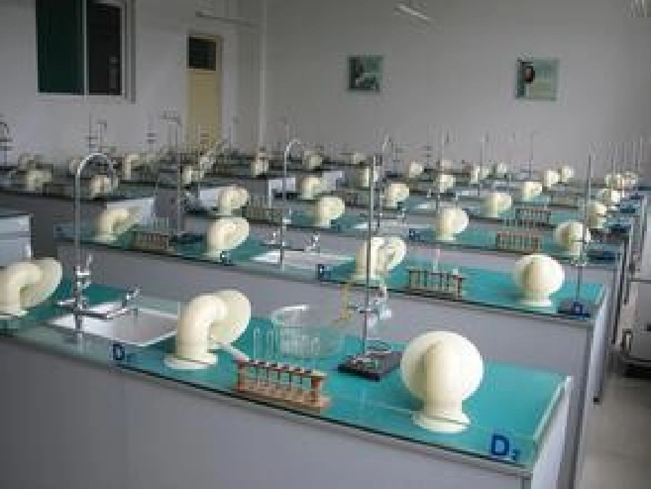 走进化学实验室-_第2页