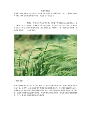 青稞种植技术