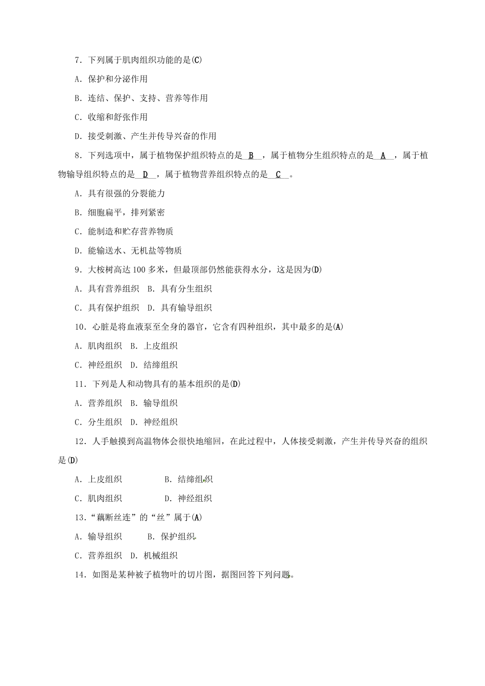 七年级科学上册3生物体的结构层次同步练习新版浙教版_第2页