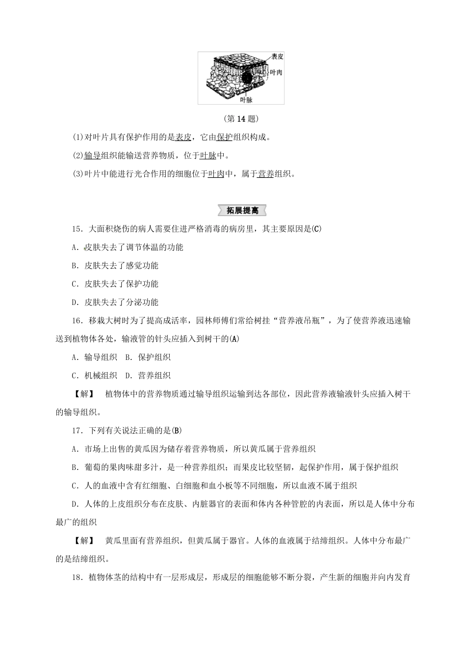 七年级科学上册3生物体的结构层次同步练习新版浙教版_第3页