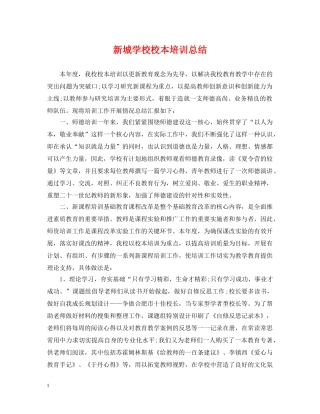 新城学校校本培训总结 