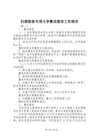 扫黑除恶专项斗争整改落实工作报告