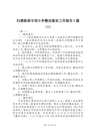 扫黑除恶专项斗争整改落实工作报告3篇（1）