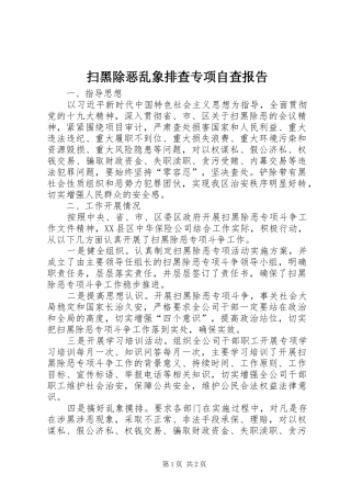 扫黑除恶乱象排查专项自查报告