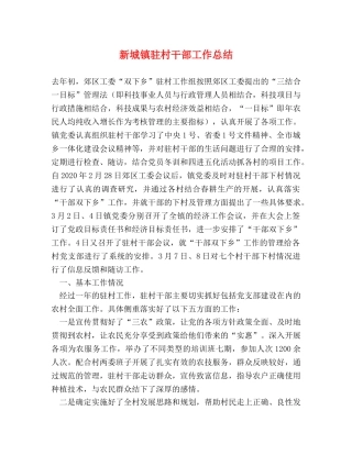 新城镇驻村干部工作总结 