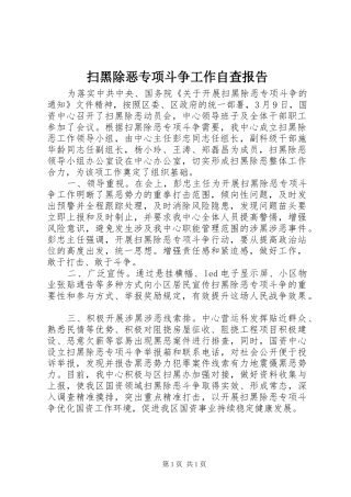 扫黑除恶专项斗争工作自查报告