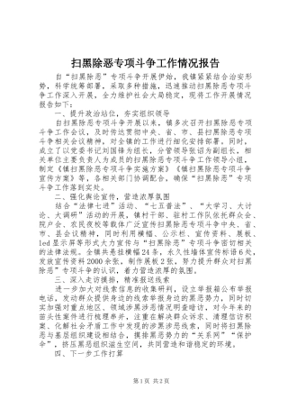 扫黑除恶专项斗争工作情况报告