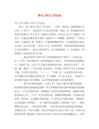 新员工转正工作总结 