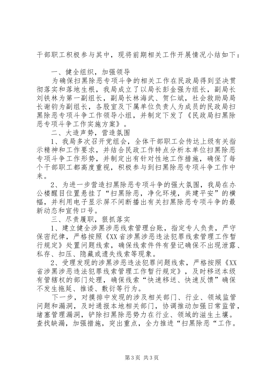 扫黑除恶专项斗争工作开展情况汇报_第3页