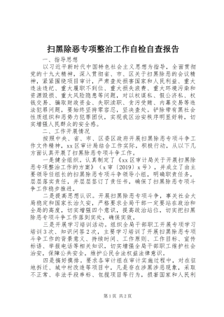 扫黑除恶专项整治工作自检自查报告