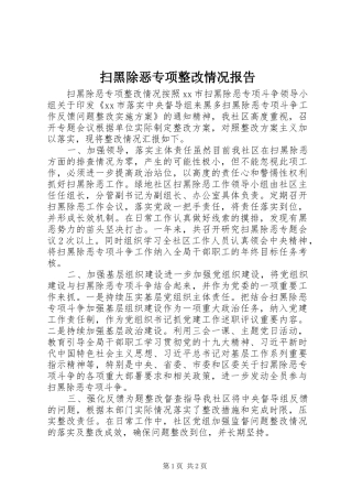 扫黑除恶专项整改情况报告