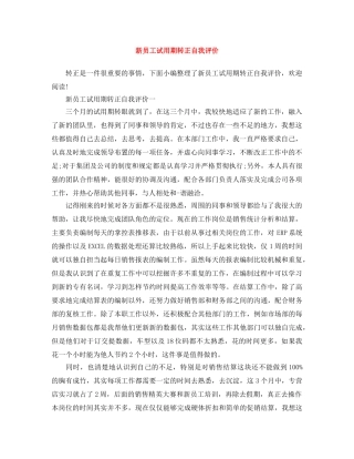 新员工试用期转正自我评价 