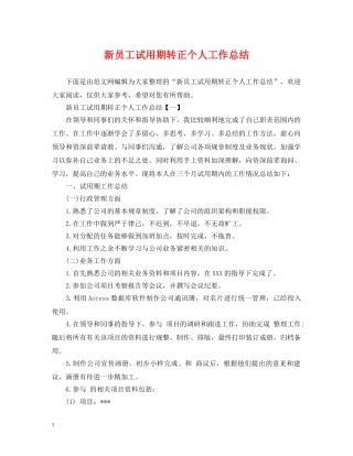新员工试用期转正个人工作总结 