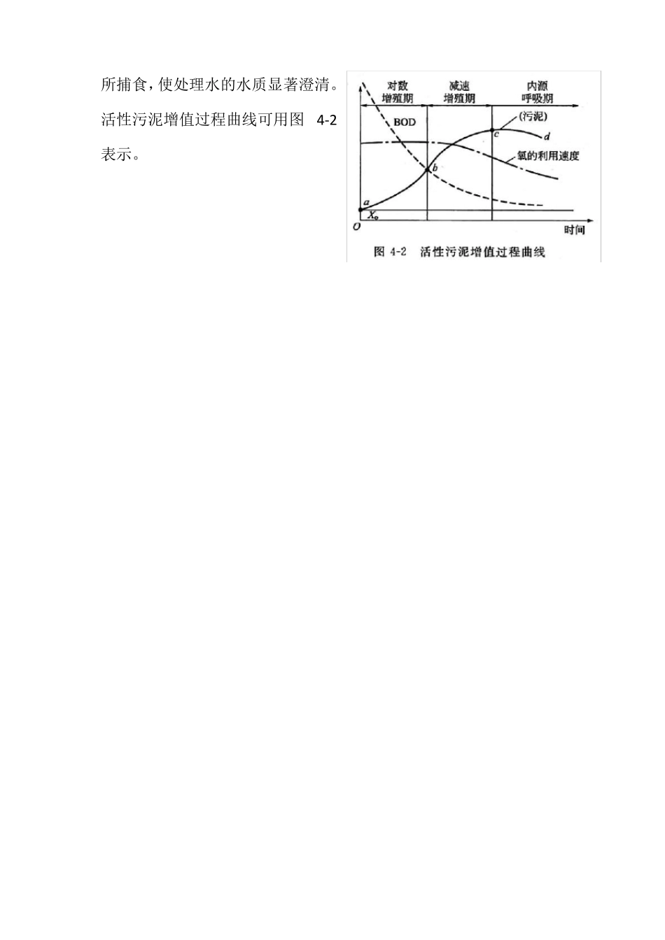活性污泥增殖过程说明_第3页