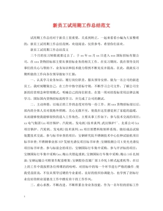 新员工试用期工作总结范文 